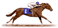 Wallace Racing Stable, Brian Wallace